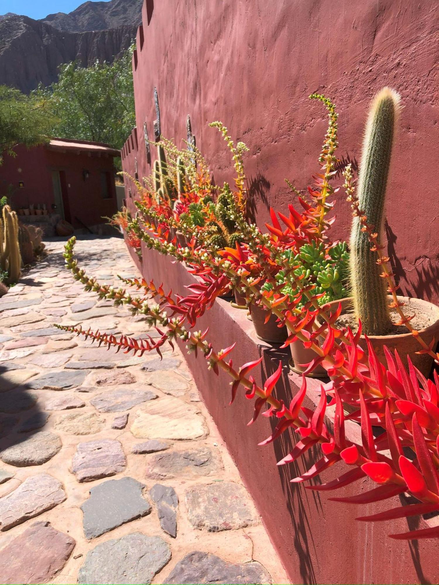 Posta De Purmamarca Bed & Breakfast Eksteriør bilde
