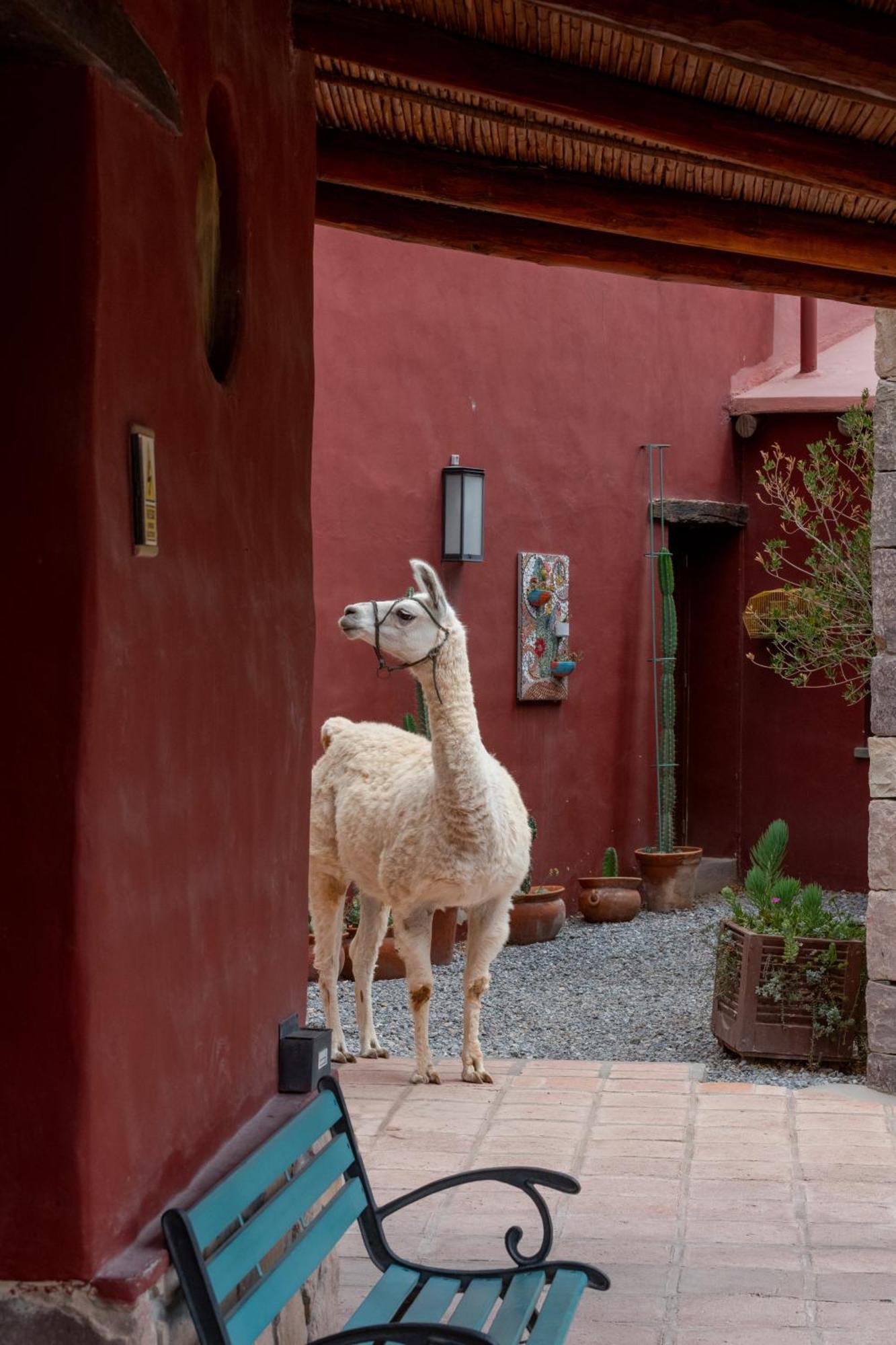 Posta De Purmamarca Bed & Breakfast Eksteriør bilde