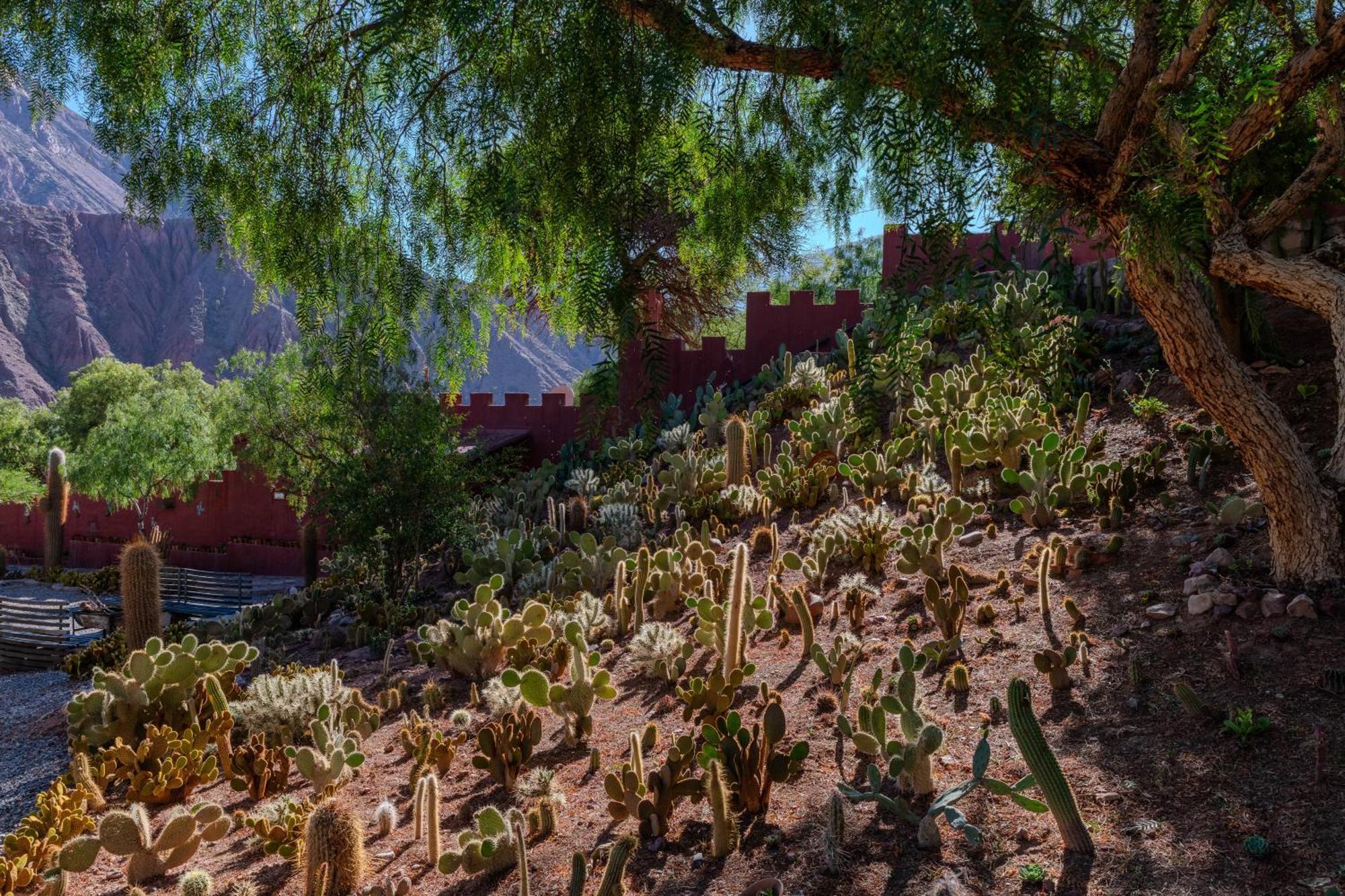 Posta De Purmamarca Bed & Breakfast Eksteriør bilde